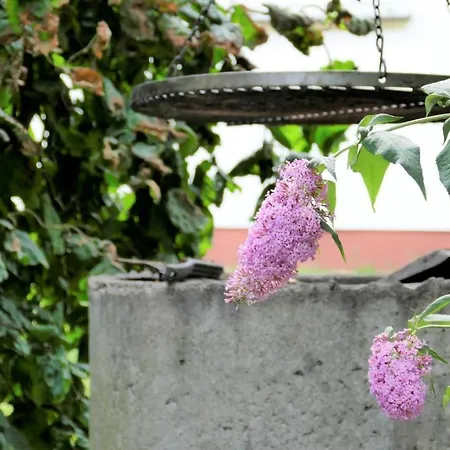 Helles Im Landhausstil Fuer Bis Zu 10 Personen *