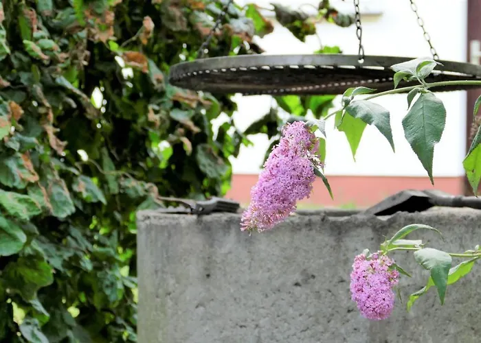 Helles Im Landhausstil Fuer Bis Zu 10 Personen *